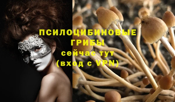 МДМА Бородино