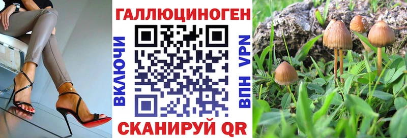 Галлюциногенные грибы прущие грибы  Верещагино 